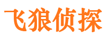 中沙寻人公司